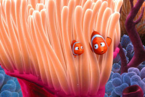 Finding Nemo Animation Kolkata