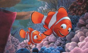 Finding Nemo Animation Kolkata