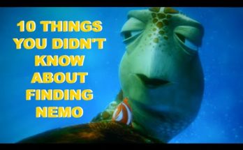 Finding Nemo Animation Kolkata
