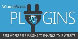 Useful website plugin animation Kolkata