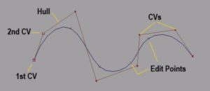 3D Modelling Animation Kolkata