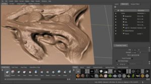 Mudbox Animation Kolkata