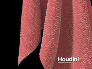 Houdini Software Animation Kolkata