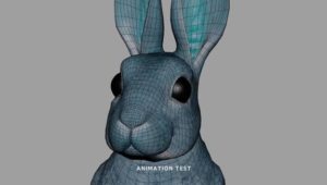 Peter Rabbit @Animation Kolkata