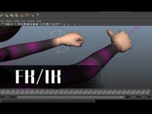 Rigging Animation Kolkata