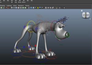 Character Rigging @Animation Kolkata