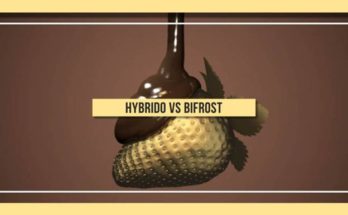 Bifrost or Hybrido Discussion @Animation Kolkata