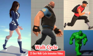 Walk Cycle In Animation Kolkata