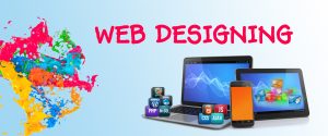 Web Designer & Web Developer