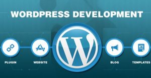 Web Designer & Web Developer