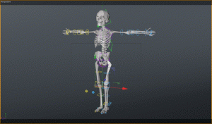 Rigging Guidelines for a Good Rig Best animation institute