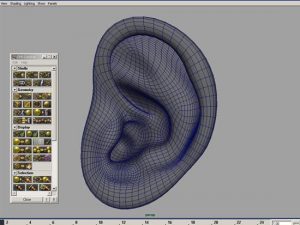 Maya Face Modelling with best animation institute Kolkata