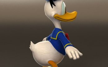 Donald Duck Best Animation Institute Kolkata