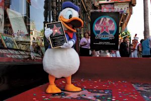 Donald Duck Best Animation Institute Kolkata