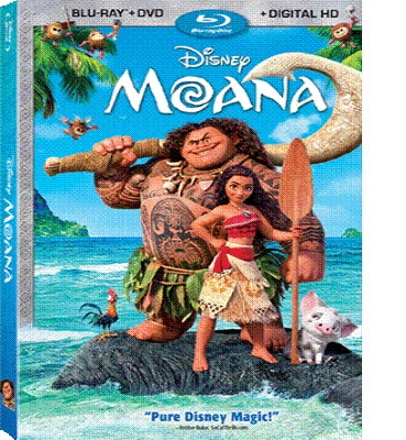 Moana Animation Kolkata