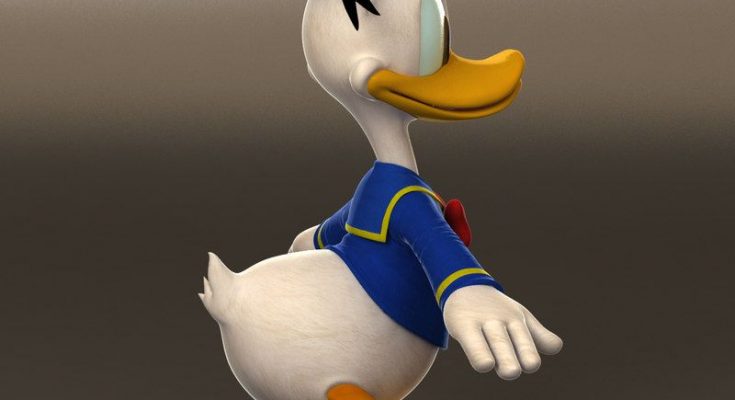 Donald Duck Best Animation Institute Kolkata